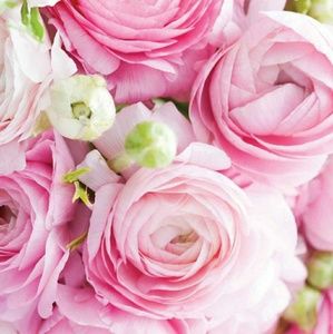 Meet your Posher, Gayla